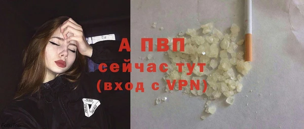 индика Алексин