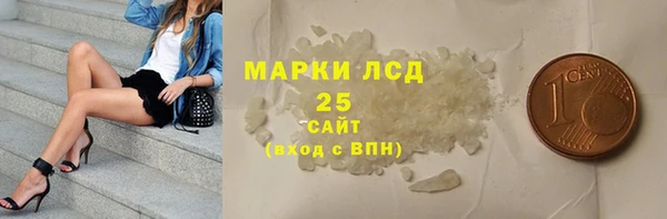 индика Алексин