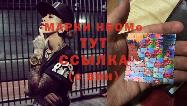 индика Алексин