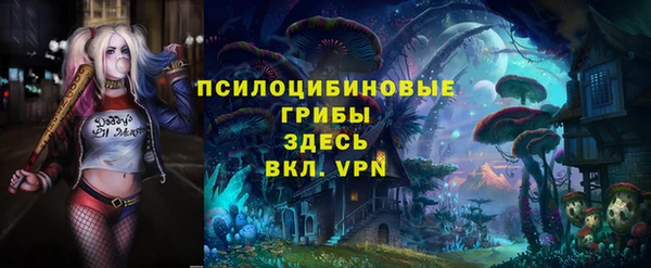 индика Алексин