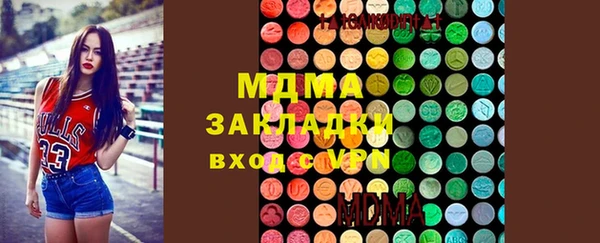 индика Алексин