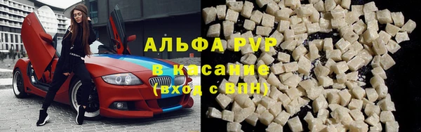 индика Алексин
