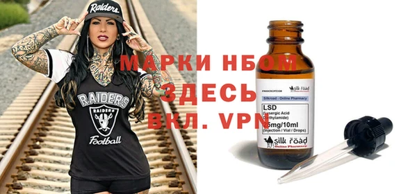 индика Алексин