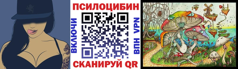 Псилоцибиновые грибы Magic Shrooms  где купить   Жердевка 